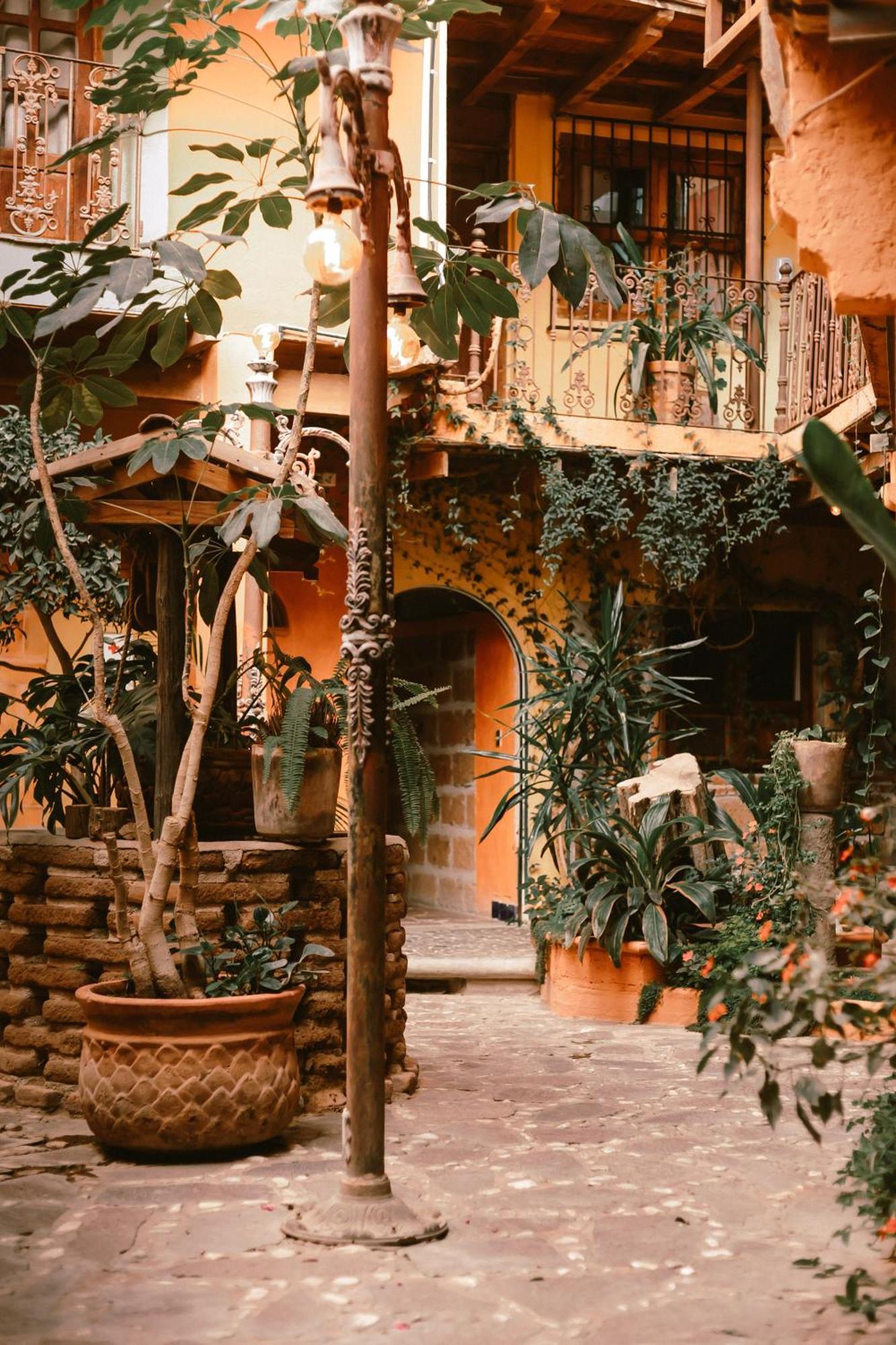Hotel Casamia Dolores Hidalgo Ngoại thất bức ảnh